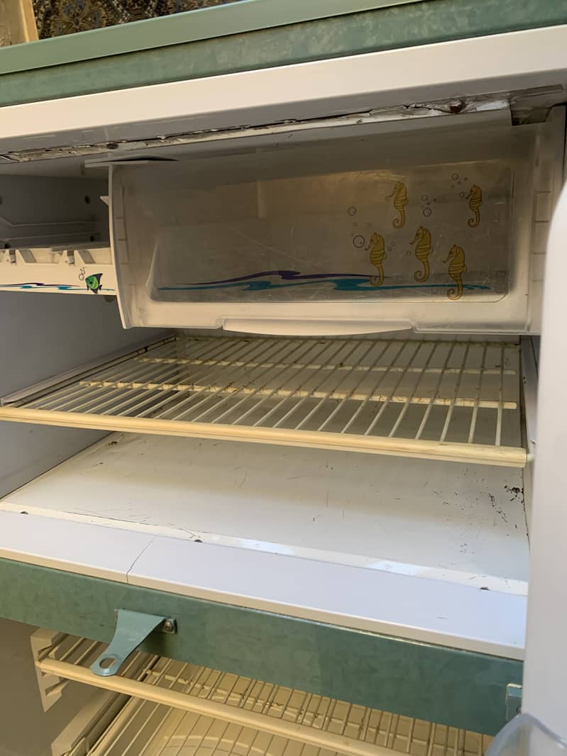 PEL fridge for sale 7