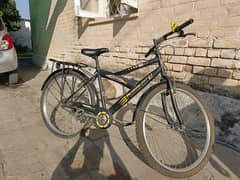 Phoenix Bicycle for Sale