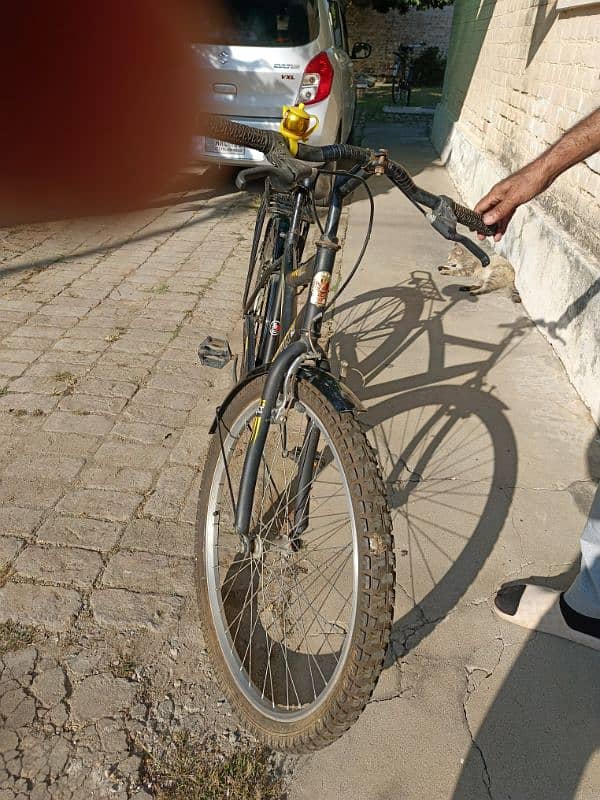 Bicycle for Sale 2