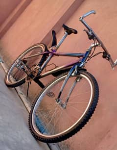 mountain bicycle