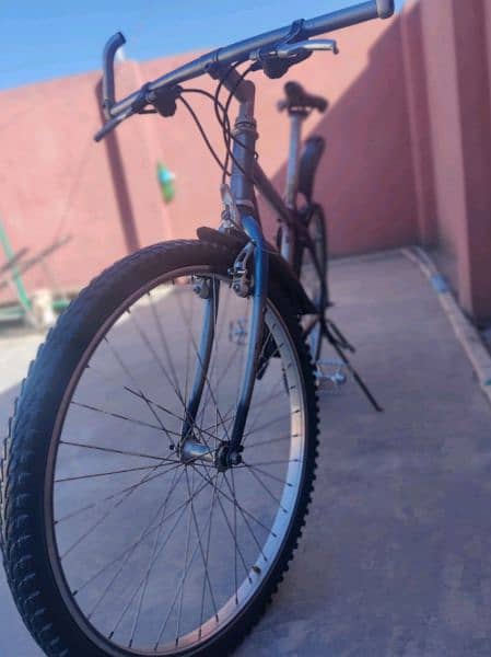 mountain bicycle 6