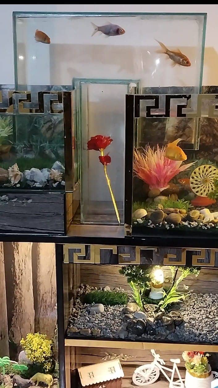 Fish Aquarium fish tank unique high quality Aquarium with accessories 2