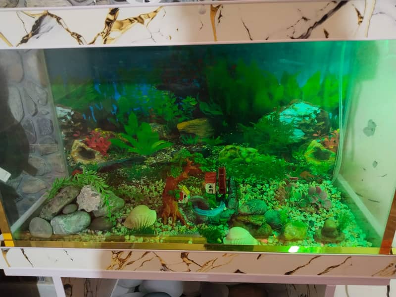 Fish Aquarium fish tank unique high quality Aquarium with accessories 14