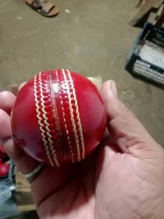 cricket Hardball