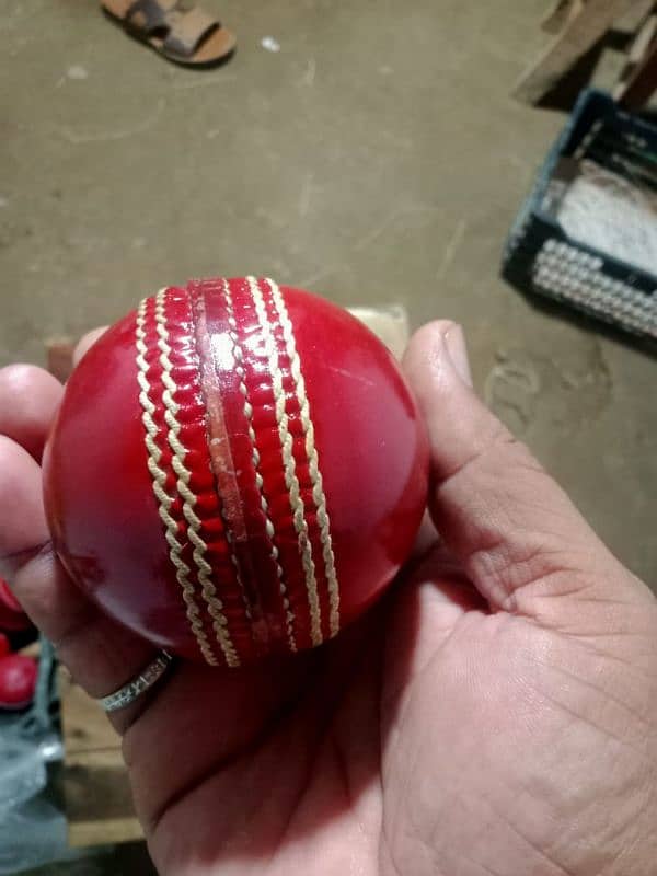 cricket Hardball 0