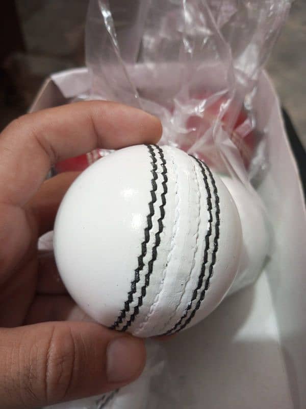 cricket Hardball 5