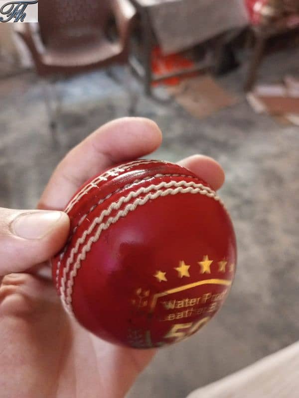 cricket Hardball 9