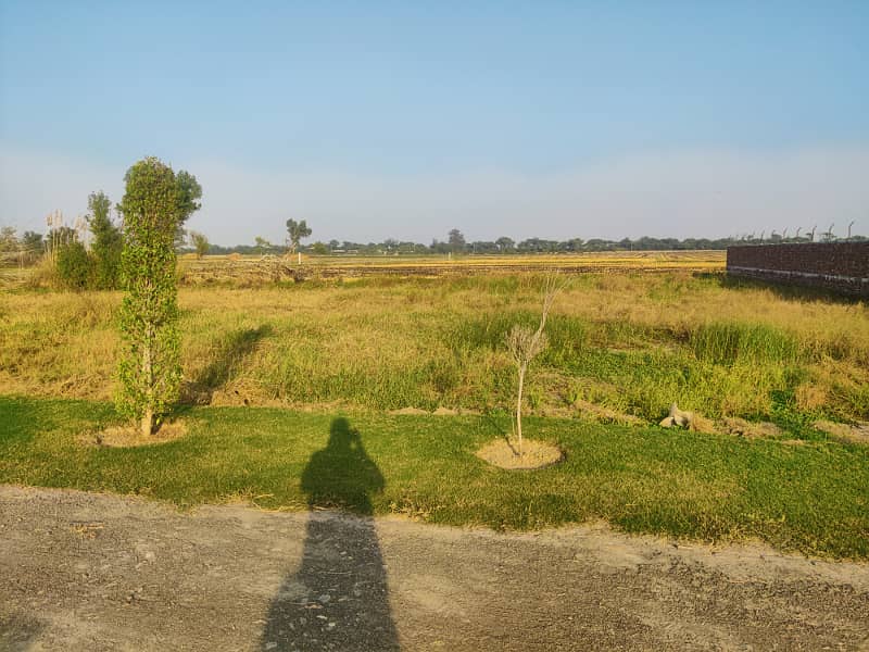 1 Kanal Plot For Farm House In Farm City 38 Lac Per Kanal 9