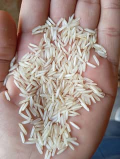 kainat steam 1121 rice export quality