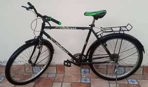 Phoenix Cycle For Sale