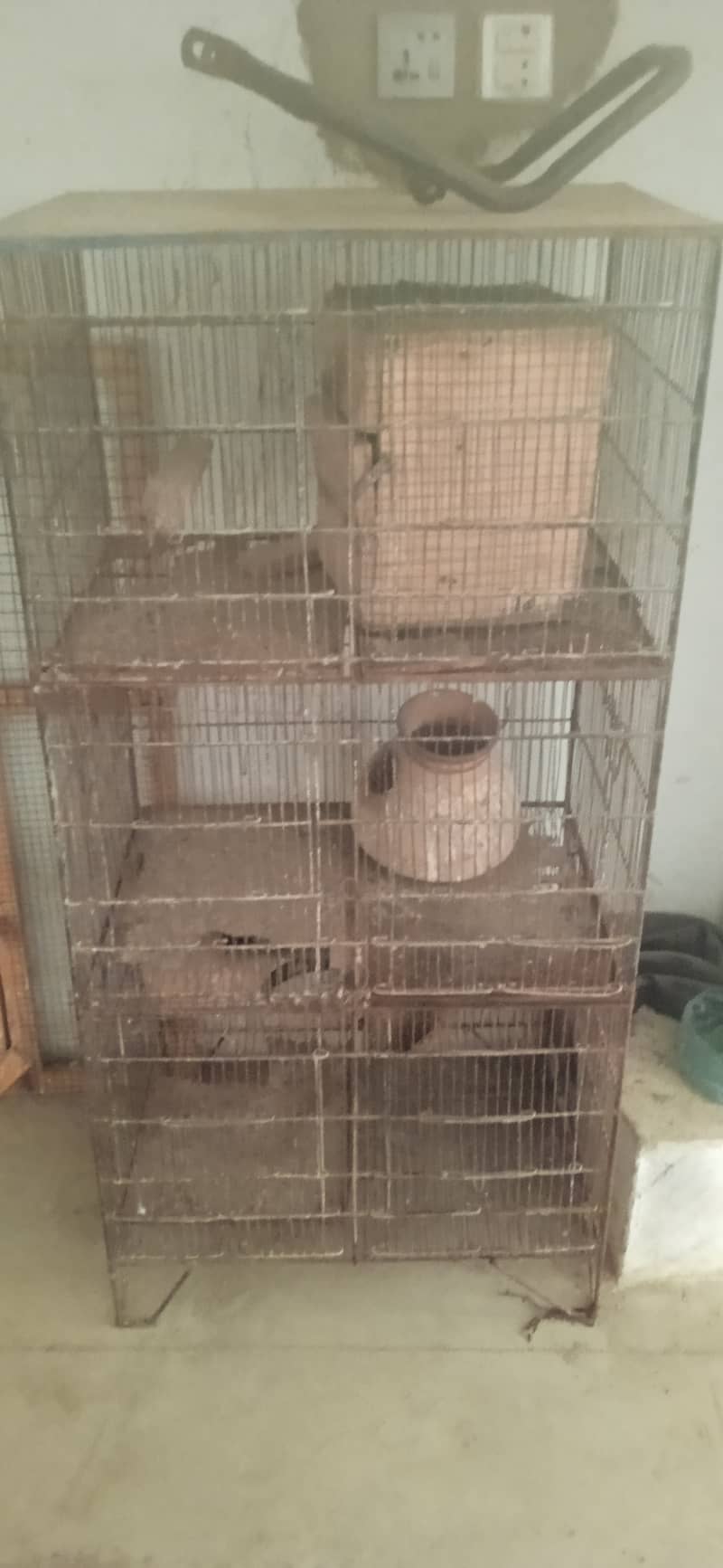 Iron Love bird cage, hen wood cage , n Fram 1