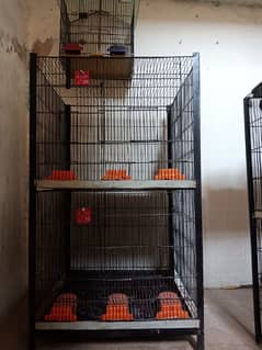 2 portion cage for sale