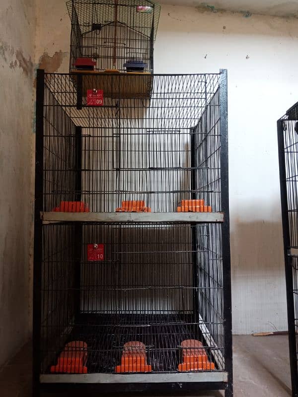 2 portion cage for sale 3