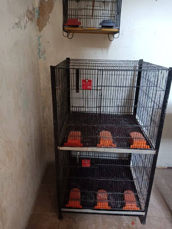 2 portion cage for sale 5