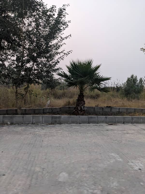 Residential Plot for Sale zamar Valley 1