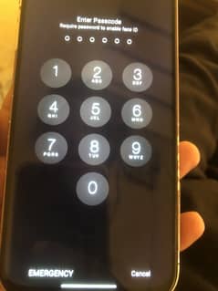 iPhone 8 Plus 10by 10condition non pta 256 go memory