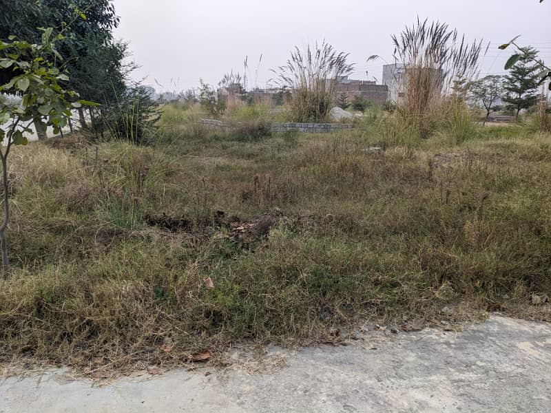 Residential Plot for Sale zamar Valley 1