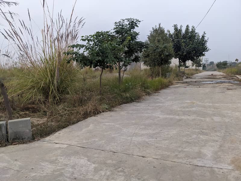 Residential Plot for Sale zamar Valley 1