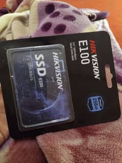 SSD 256 GB E100