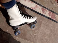 skate