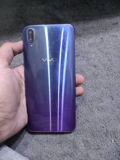 vivo