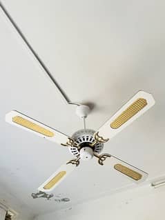 New fans celling decorated