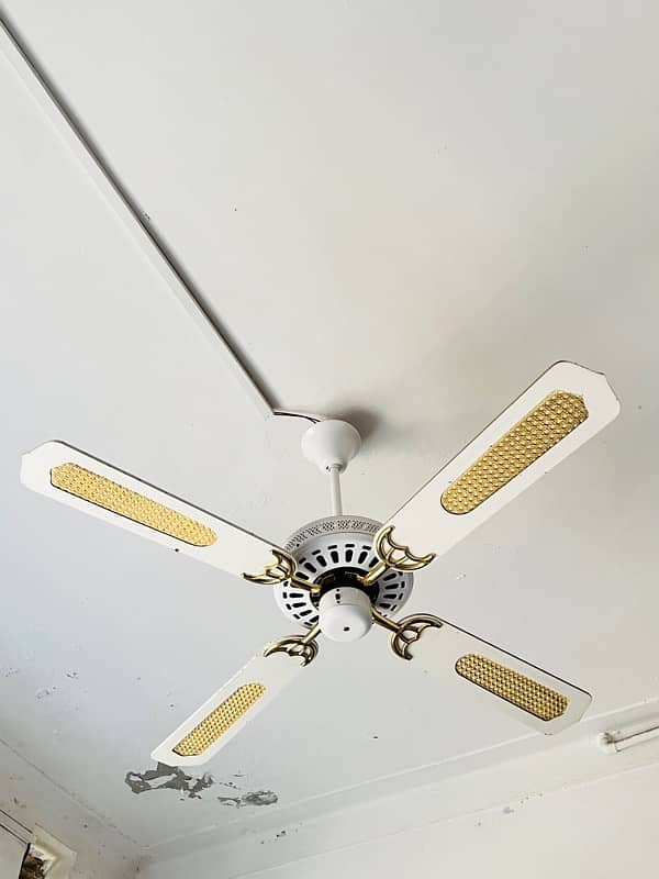 New fans celling decorated 0