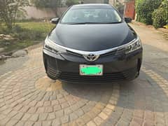 Toyota Corolla GLI 2019 Auto Total genuine brand new car