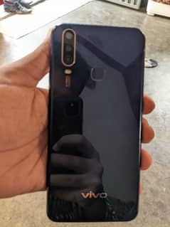 vivo