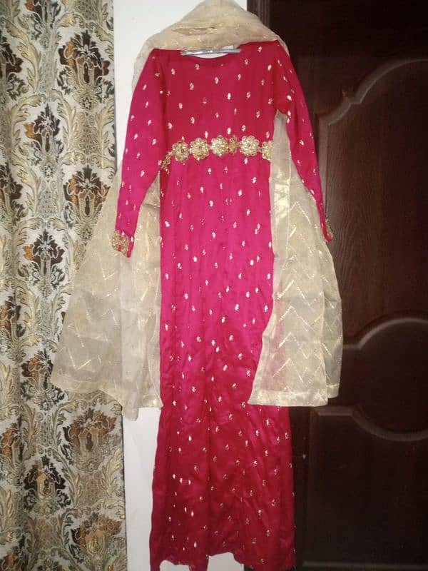 Fancy silk ladies suit 3