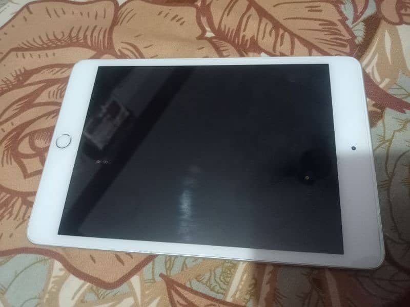 Ipad Mini 5 6