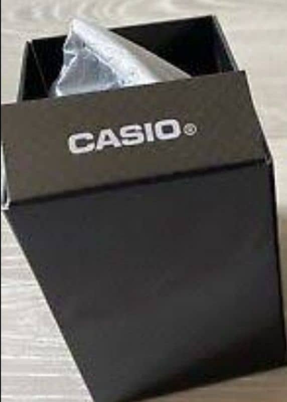 casio A164W 3