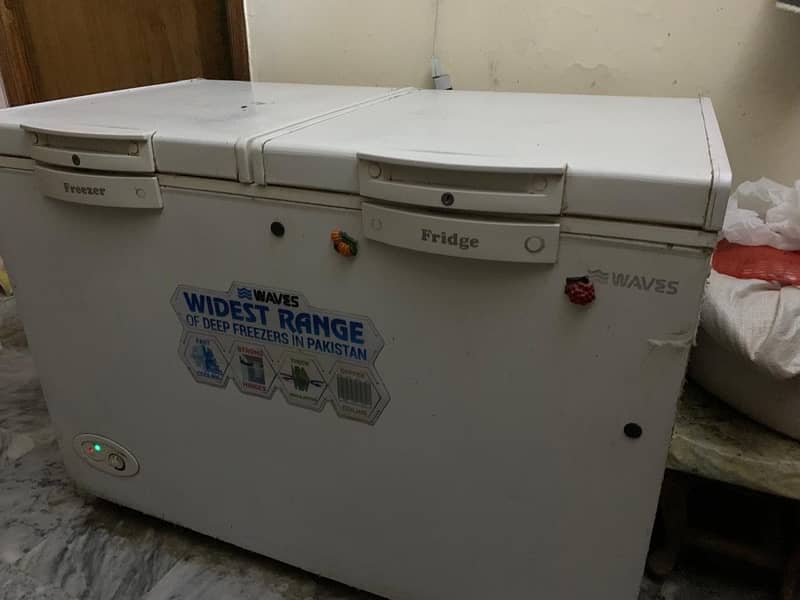 Waves double door deep freezer 1