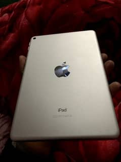 ipad mini 5 with box and changer number 0-3-4-3-9-7-8-0-8-3-1