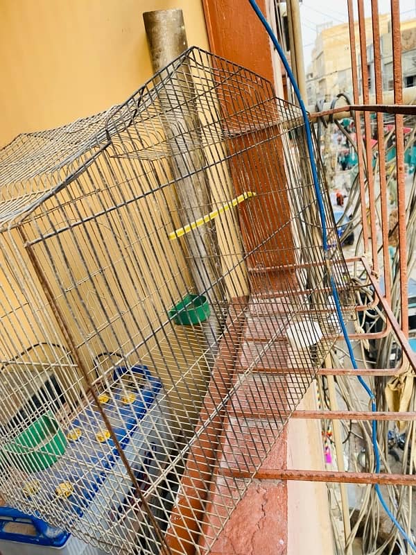 Cage (Pinjra) For Birds 1