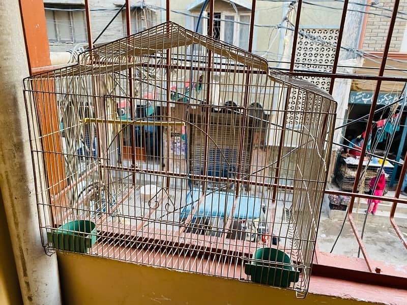 Cage (Pinjra) For Birds 2