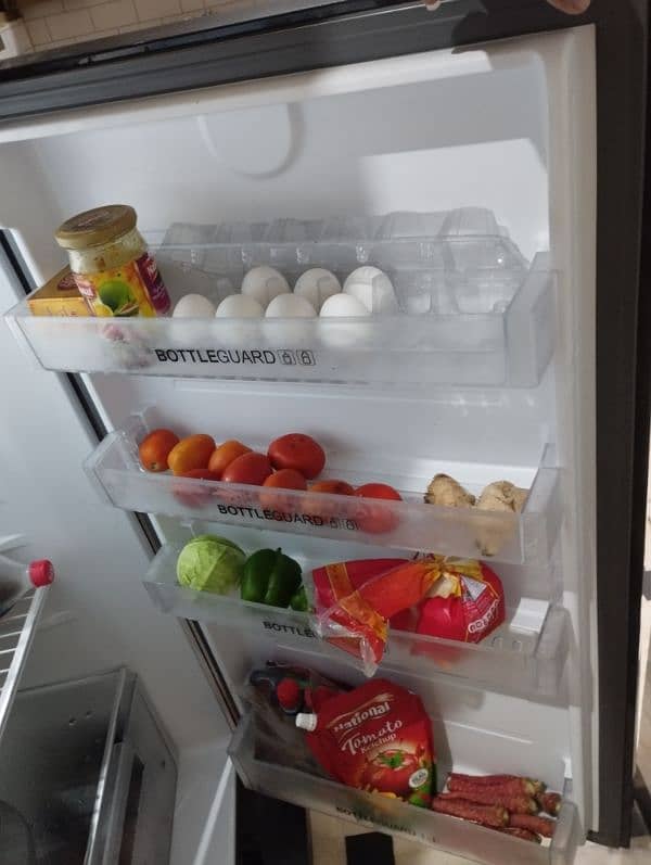 Haier Refrigerator HRF-336 5