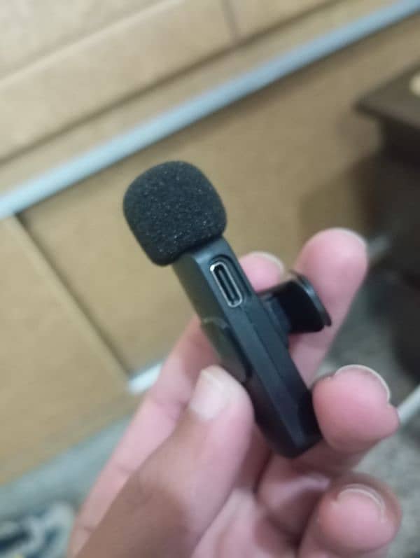 Mic for Type C 2