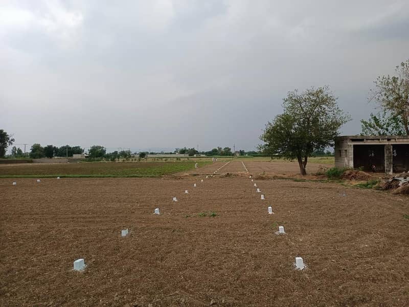 Sirka Mor, Kamal pur Musa, Shadi Khan, Tajak , Waisa 10 Marla, 1 Kanal plot for Sale 8