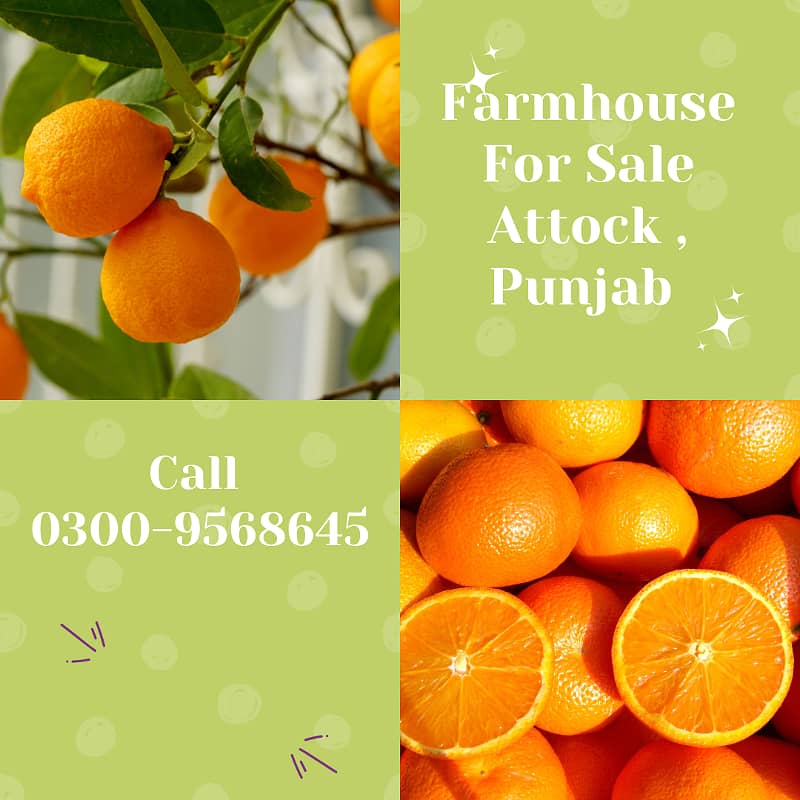 Farmhouse For Sale In Fateh Jang (Near Khunda) Attock, Punjab 1