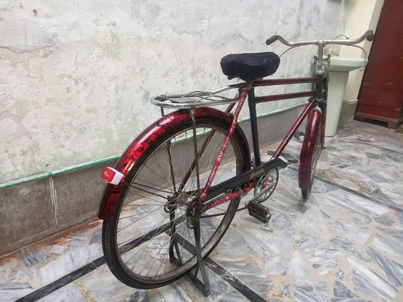 China cycle phoenix for sale 0