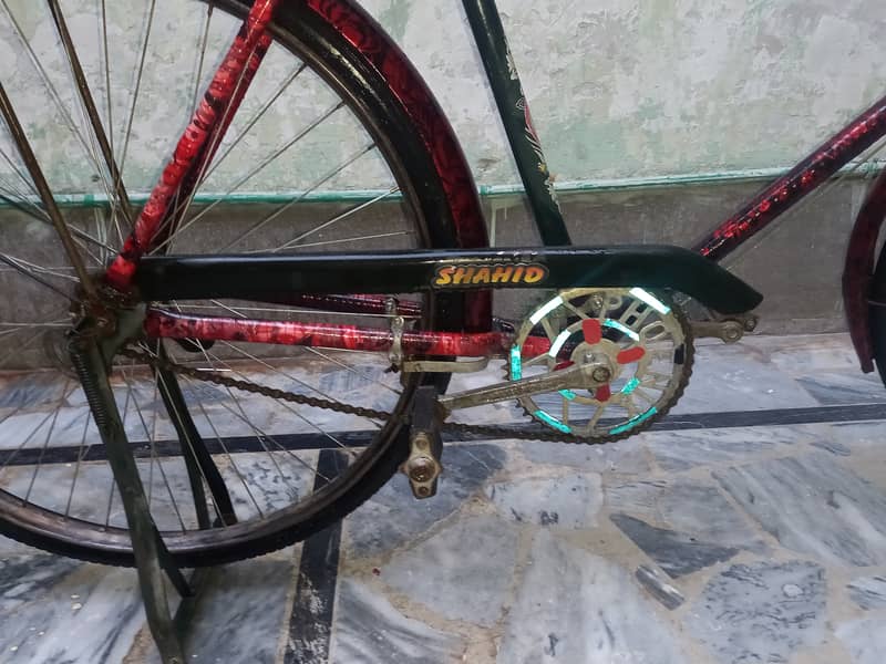 China cycle phoenix for sale 3