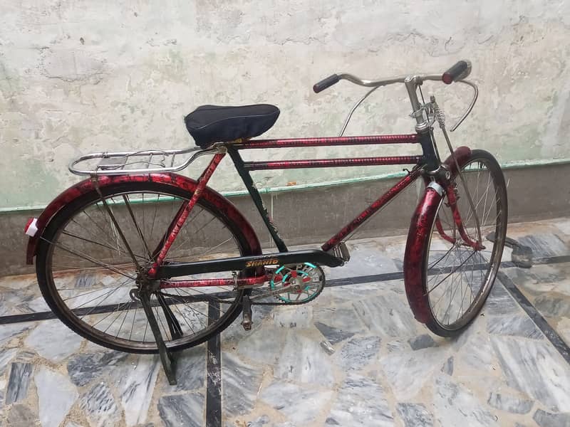 China cycle phoenix for sale 4