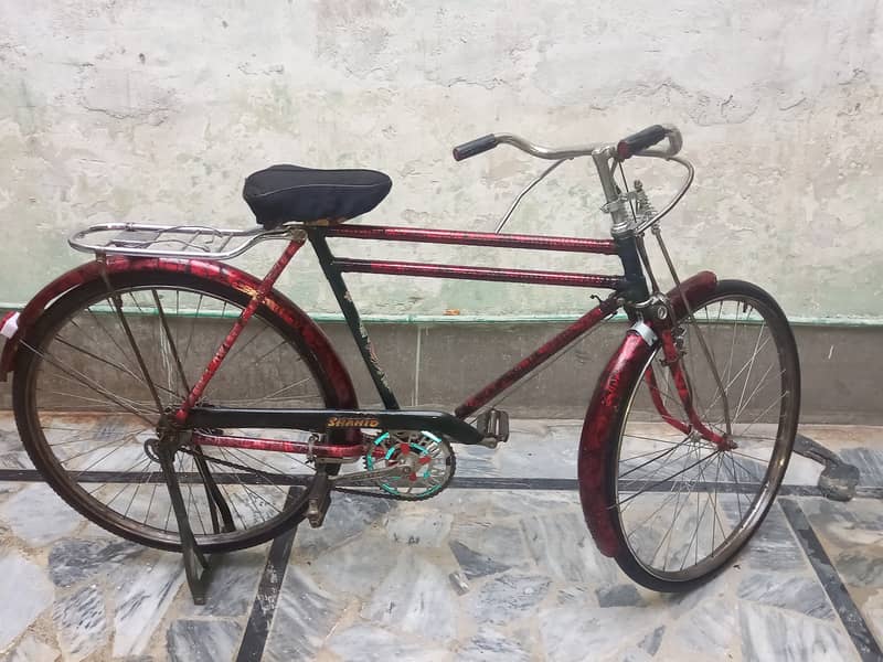 China cycle phoenix for sale 5