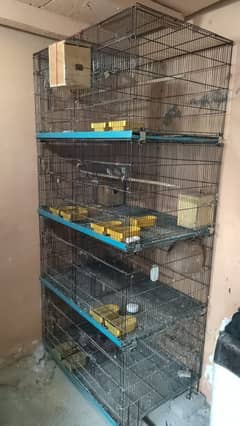 8 Portion Cage For Sale