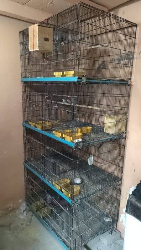 8 Portion Cage For Sale 0