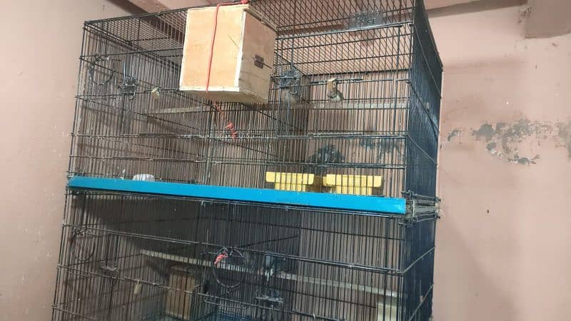 8 Portion Cage For Sale 1