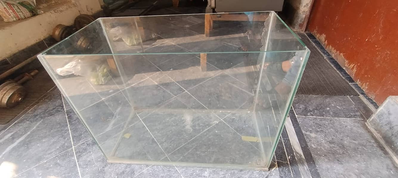 FISH AQUARIAM - Urgent Sale 0