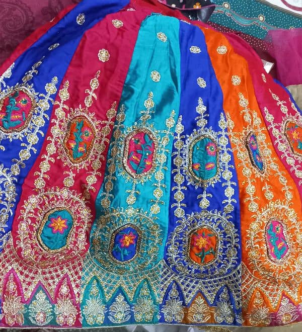 Multi colored lehnga and choli 0