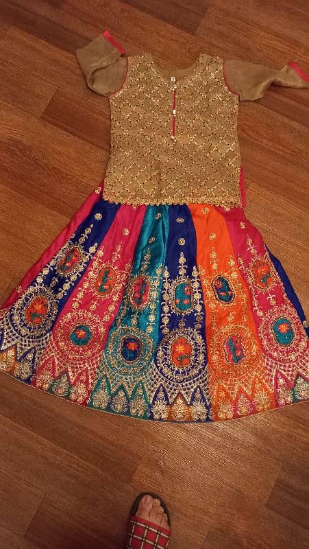 Multi colored lehnga and choli 1